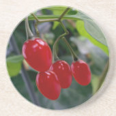 秋の紅葉 コースター (正面)