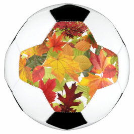 秋の紅葉 サッカーボール