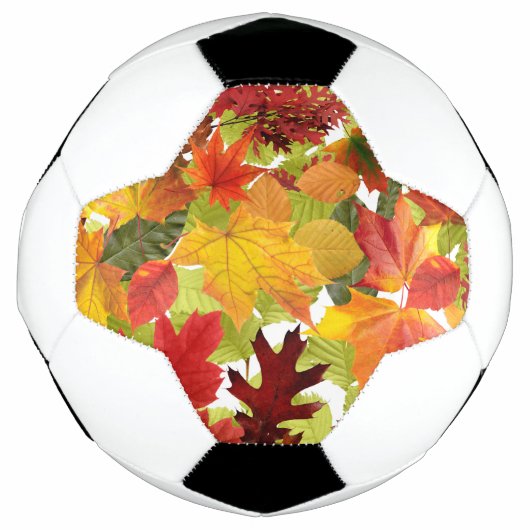 秋の紅葉 サッカーボール (正面)