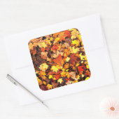 秋の紅葉 スクエアシール (封筒)