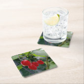 秋の紅葉 スクエアペーパーコースター (インサイチュ)