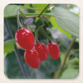 秋の紅葉 スクエアペーパーコースター (正面)