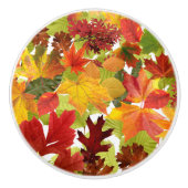 秋の紅葉 セラミックノブ (正面)