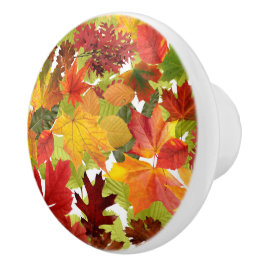秋の紅葉 セラミックノブ