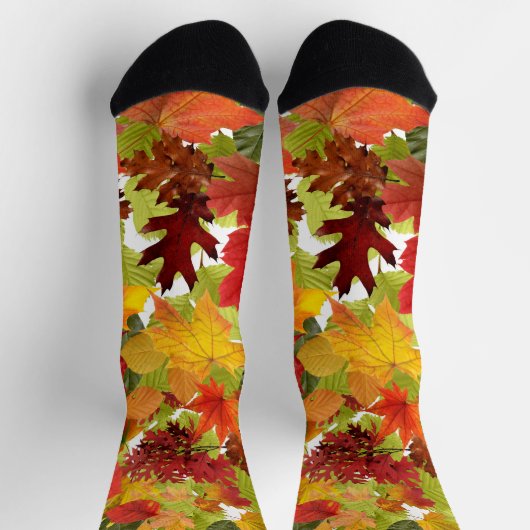 秋の紅葉 ソックス (上部)