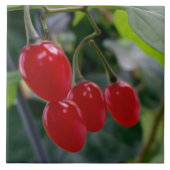 秋の紅葉 タイル (正面)