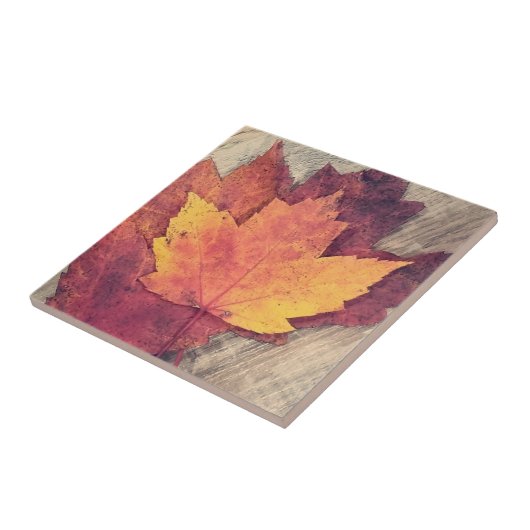 秋の紅葉 タイル (側面)