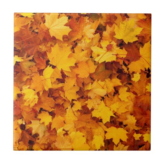 秋の紅葉 タイル (正面)