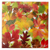 秋の紅葉 タイル (正面)