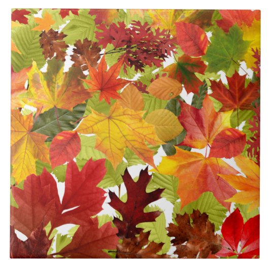 秋の紅葉 タイル (正面)
