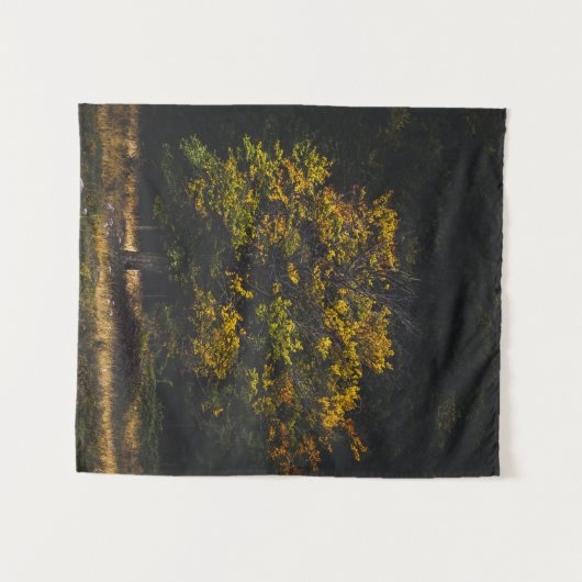 秋の紅葉 タペストリー (正面(横))