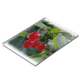 秋の紅葉 ノートブック (左側)