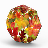 秋の紅葉 フォトブロック (右)