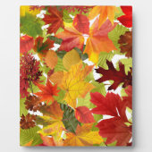 秋の紅葉 フォトプラーク (正面)