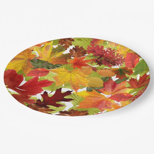 秋の紅葉 ペーパープレート (アングル)