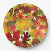 秋の紅葉 ペーパープレート (正面)