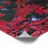 秋の紅葉 ポスター (角)