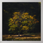 秋の紅葉 ポスター (正面)