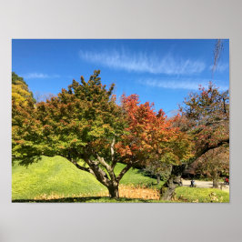 秋の紅葉 ポスター