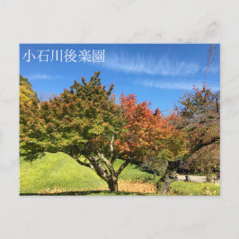 秋の紅葉 ポストカード