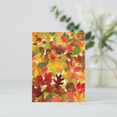 秋の紅葉 ポストカード (スタンド正面)