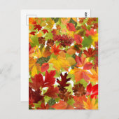 秋の紅葉 ポストカード (正面/裏面)