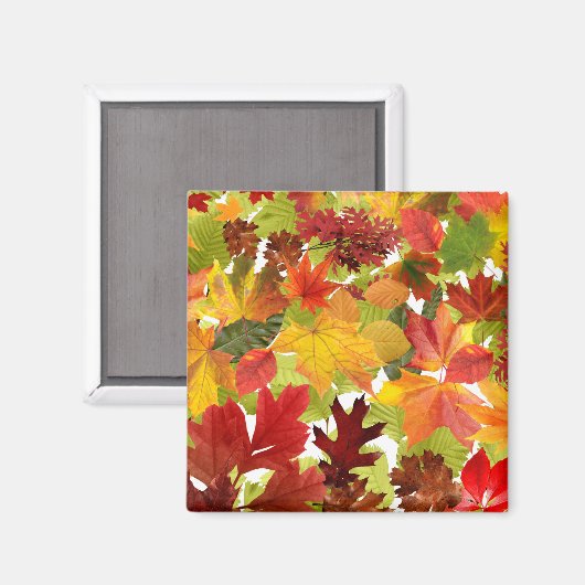 秋の紅葉 マグネット (正面/裏面)