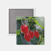 秋の紅葉 マグネット (正面/裏面)