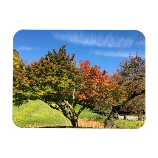 秋の紅葉 マグネット (横)