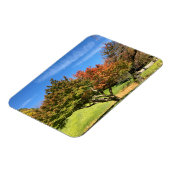 秋の紅葉 マグネット (左側)