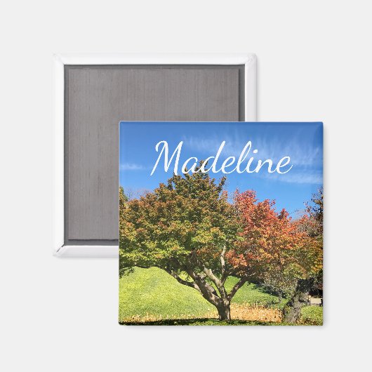 秋の紅葉 マグネット (正面/裏面)