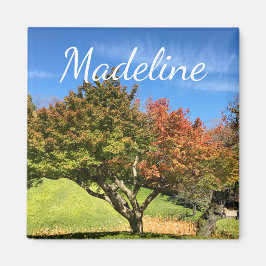 秋の紅葉 マグネット