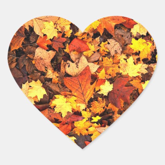 秋の紅葉、秋の色 ハートシール (正面)
