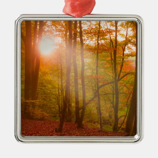 秋の素晴らしさ メタルオーナメント (正面)