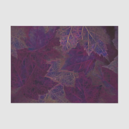 秋の紫に輝く濃いイロハカエルの葉 薄葉紙 (正面)