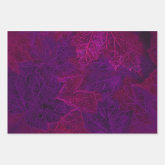 秋の紫ピンクネオンダークメープル葉 ラッピングペーパーシート (正面)