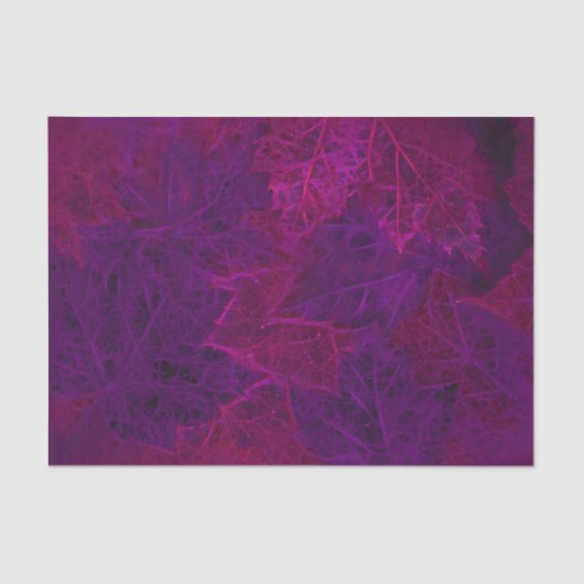 秋の紫ピンクネオンダークメープル葉 薄葉紙 (正面)