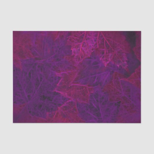 秋の紫ピンク ネオン ダーク カエルの葉 薄葉紙 (正面)