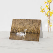 秋の終わりに2匹のシグネッツ カード (黄色い花)