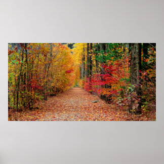 秋の経路、プリント ポスター