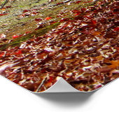 秋の経路 ポスター (角)