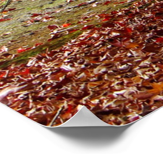 秋の経路 ポスター (角)