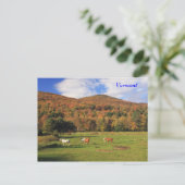 秋の緑の山と馬 ポストカード (スタンド正面)