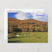 秋の緑の山と馬 ポストカード (正面/裏面)