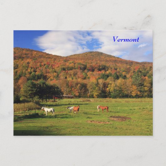 秋の緑の山と馬 ポストカード (正面)