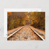 秋の線はがき ポストカード (正面/裏面)