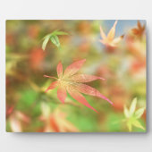 秋の繊細なプレート フォトプラーク (正面)