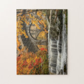 秋の美しいベレア秋 ジグソーパズル (縦)