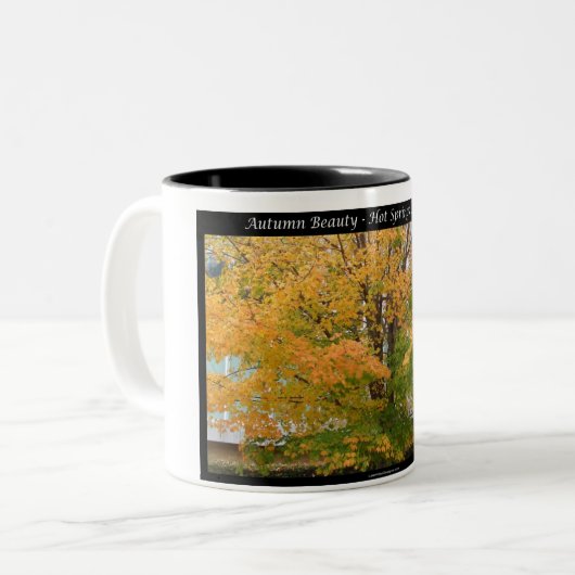 秋の美しいホット春アーカンソーのアパレルギフト ツートーンマグカップ (正面左)