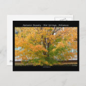 秋の美しいホット春アーカンソーのアパレルギフト ポストカード (正面/裏面)